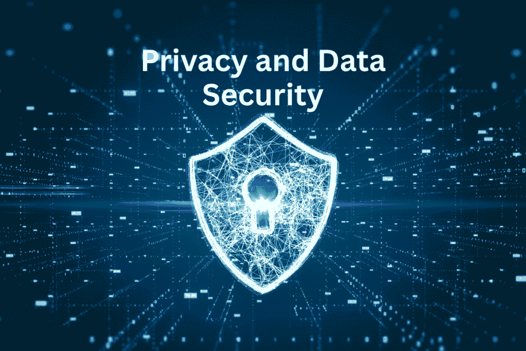 Privacy and Data Security